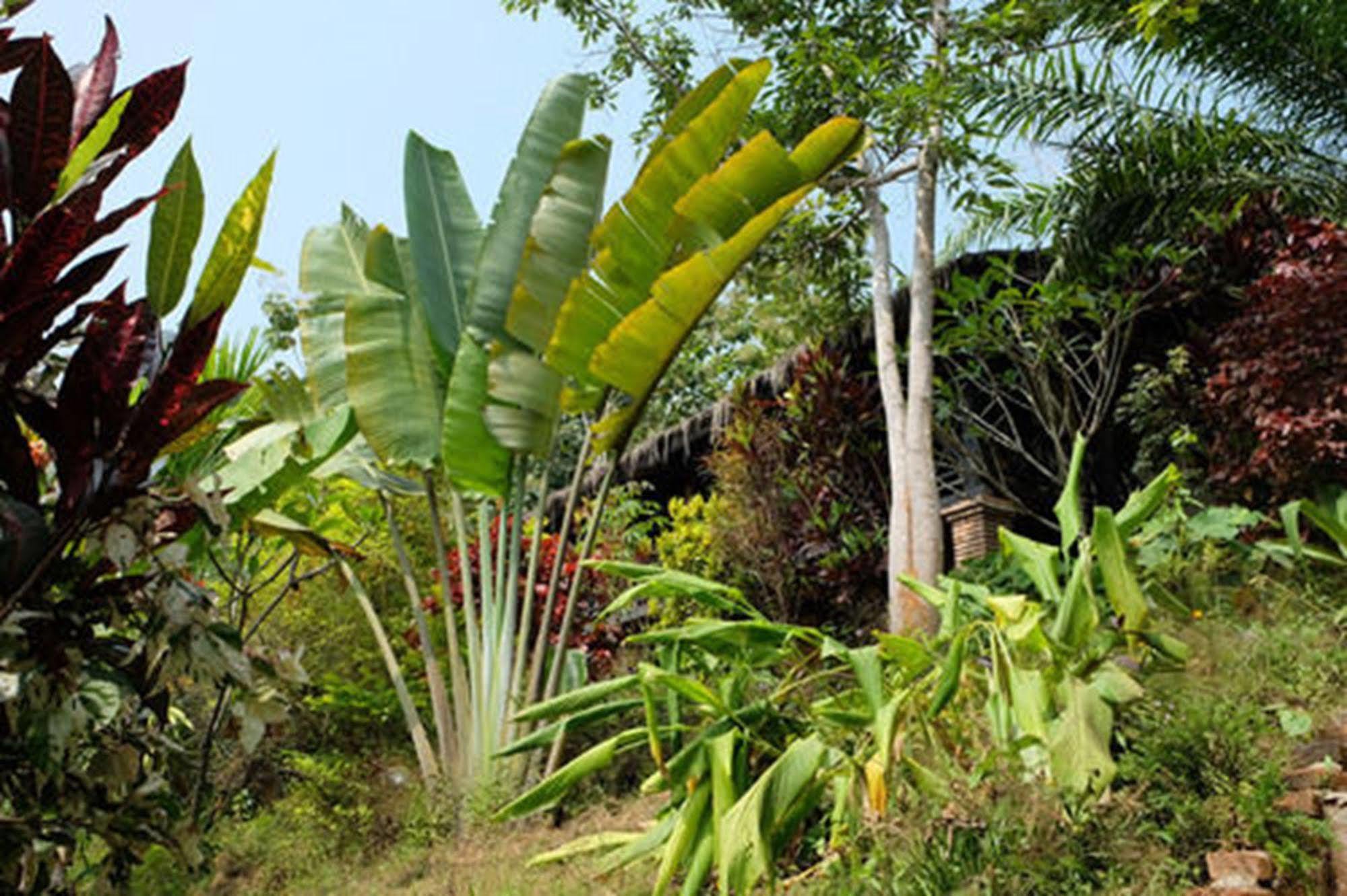 Hillside - Nature Lifestyle Lodge Luang Prabang Exterior photo