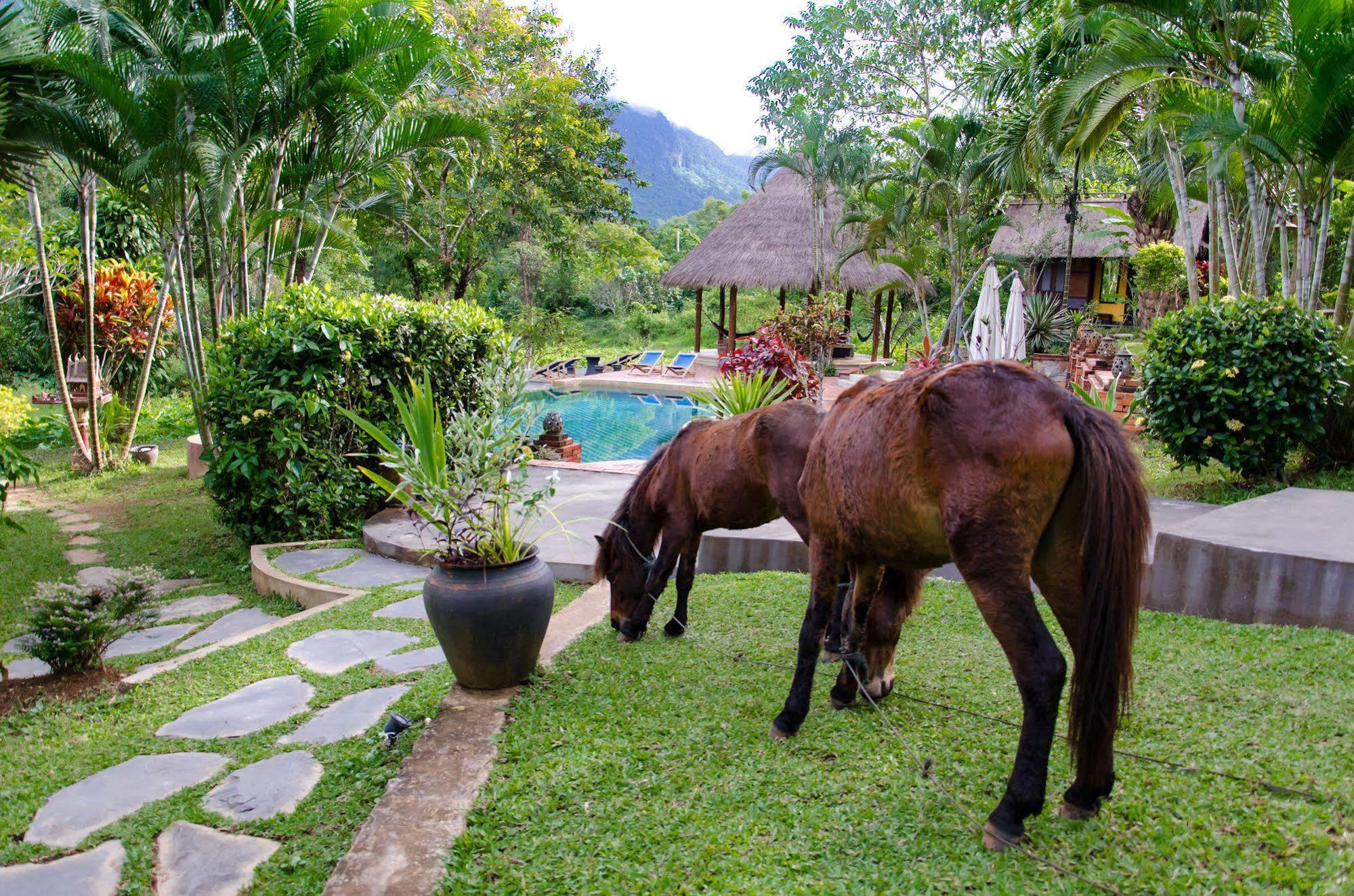 Hillside - Nature Lifestyle Lodge Luang Prabang Exterior photo